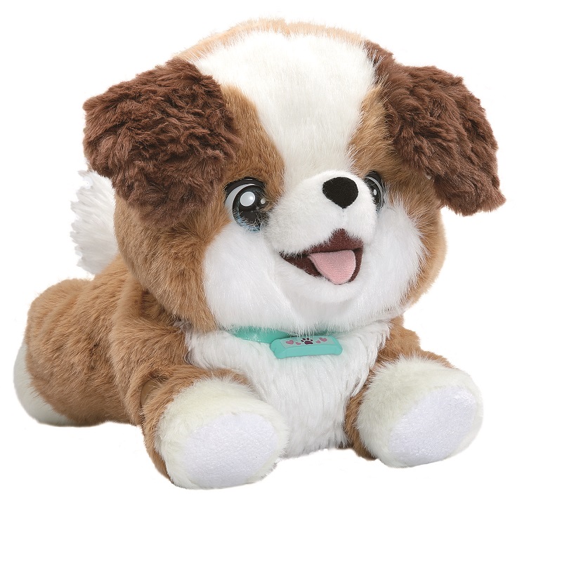 Paw the Puppy Patient